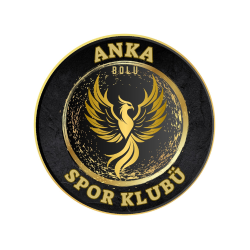 Topardıç Spor Anka FK