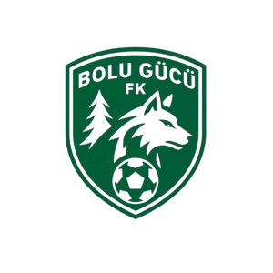 BOLU GÜCÜ FK