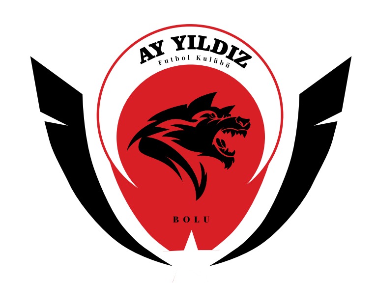 AYYILDIZ FK